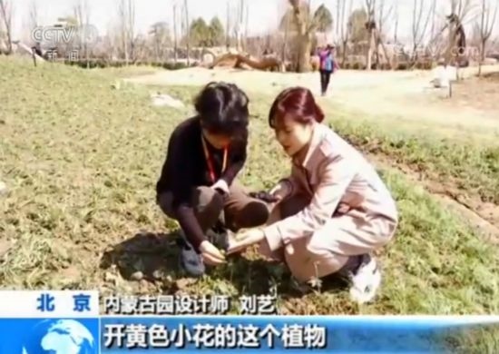 【魅力世園會(huì)】?jī)?nèi)蒙古園：壯美的北疆畫卷