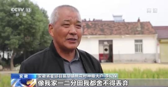 十八連豐！秋收近九成 我國糧食產(chǎn)能穩(wěn)步提升