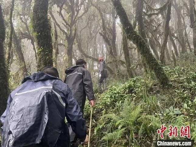圖為救援現場。鎮(zhèn)沅縣委宣傳部提供
