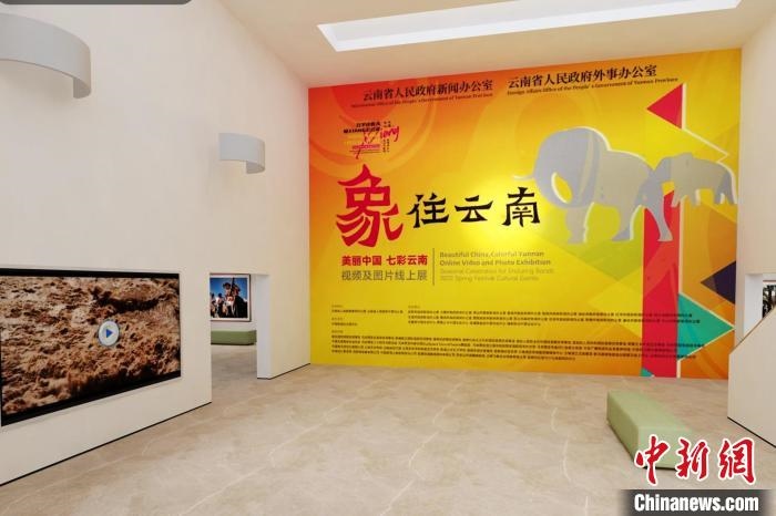 圖為“象”往云南——美麗中國 七彩云南視頻及圖片線上展截圖?！『h(yuǎn)航 攝