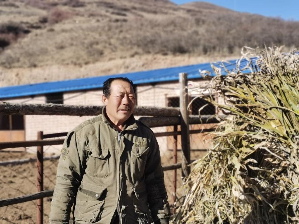 1月19日，山西省岢嵐縣脫貧戶呂如堂在牛圈前準備草料。新華社記者 梁曉飛 攝