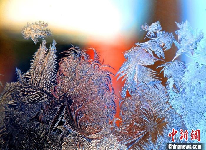 惟妙惟肖的冰窗花，似一幅風(fēng)景畫?！O書程 攝