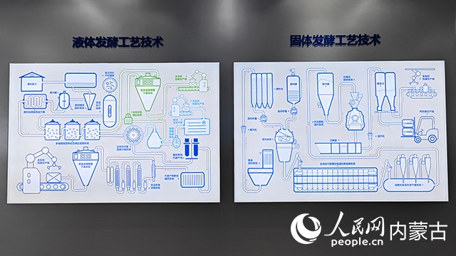 科拓生物工藝技術(shù)展示。人民網(wǎng)記者 張雪冬攝