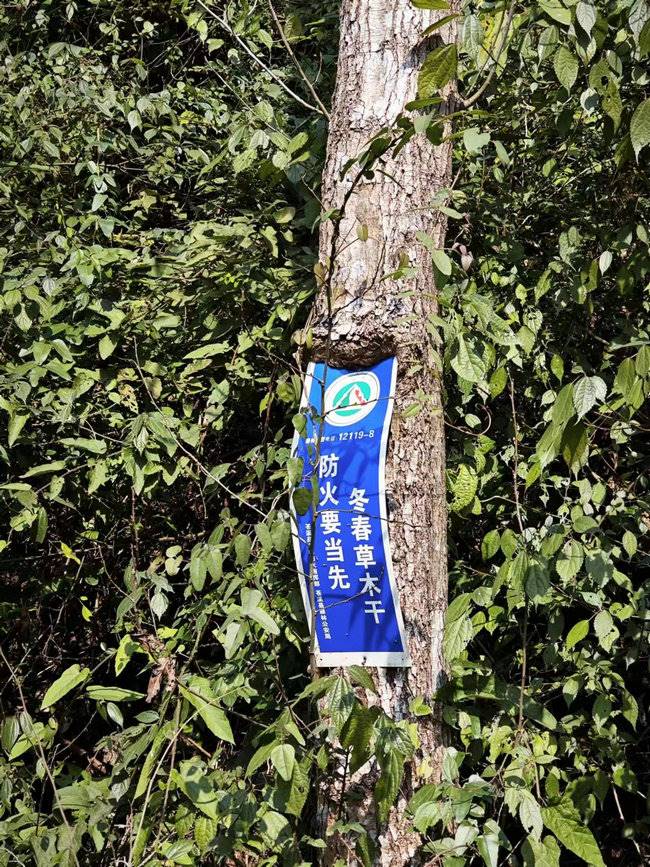 路邊的防火宣傳標(biāo)語.jpg