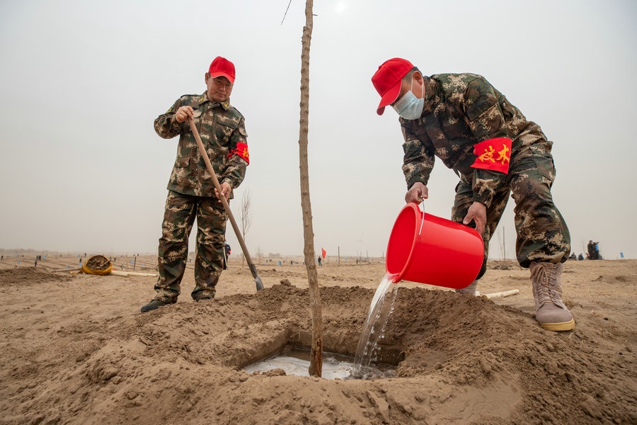 技術(shù)員現(xiàn)場(chǎng)指導(dǎo)植樹(shù)（攝影：包寶音德力格爾）.JPG