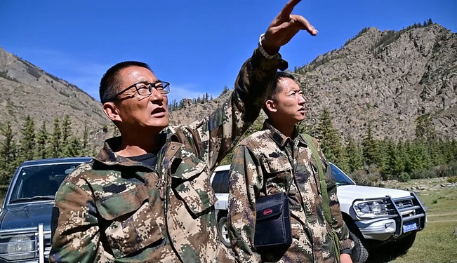 護(hù)林2.jpg