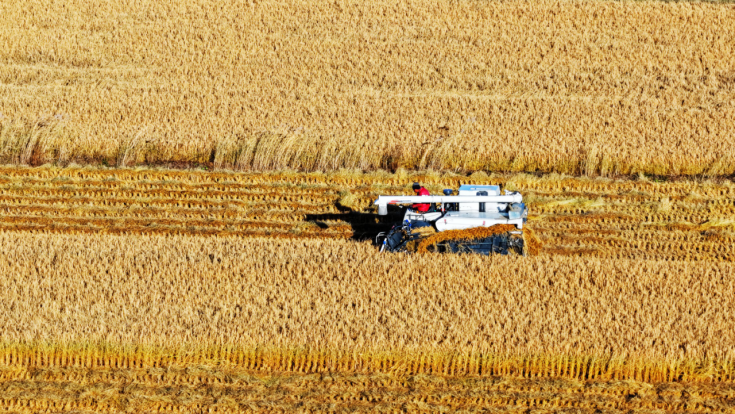 1760944824738468.png 01e87609dc7bf9a79d080c384c81fa53.png