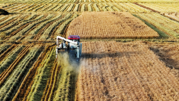 1760944884136733.png 1圖片1.png