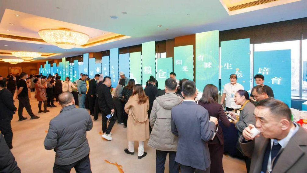 1764160430261159.jpg 綠農(nóng)7.jpg