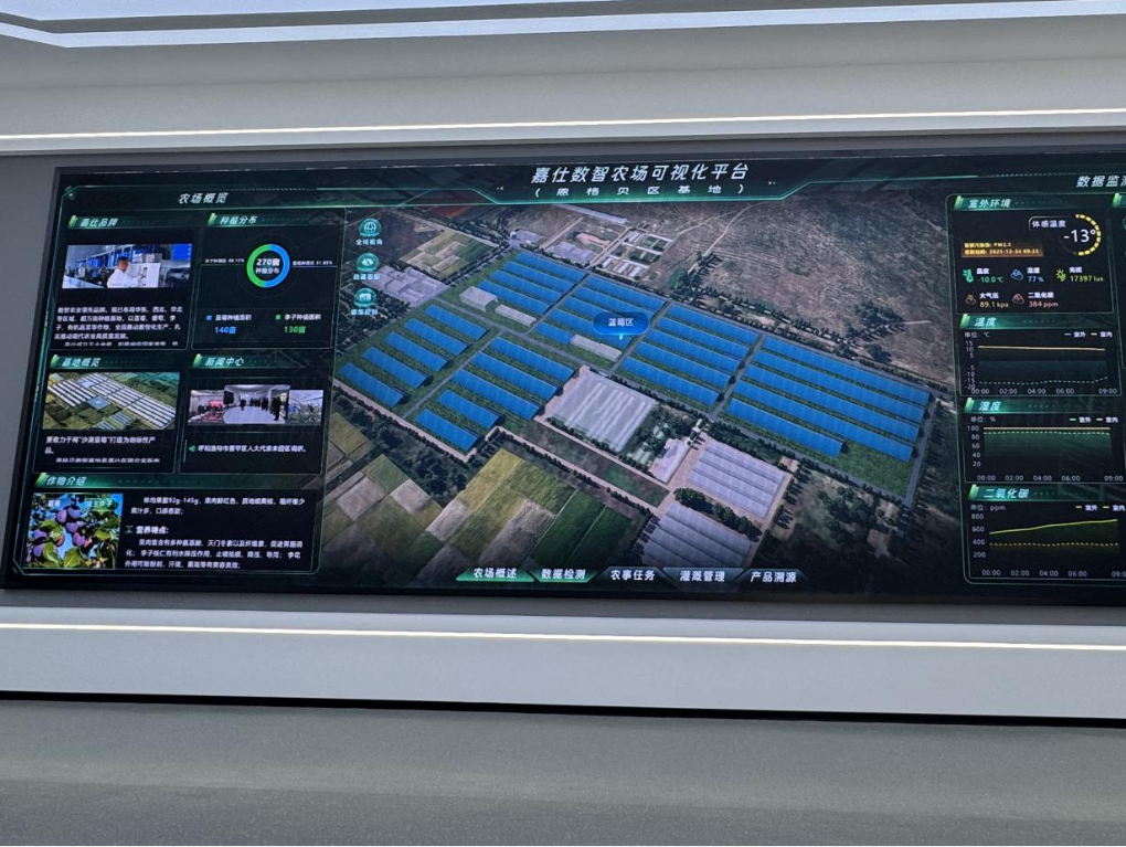 1768291683998423.png 20260112嘉仕農業(yè)藍莓栽培科技示范基地數智農業(yè)可視化平臺新華網.png