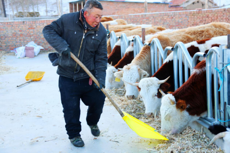 1771035850209995.png 圖片19.png