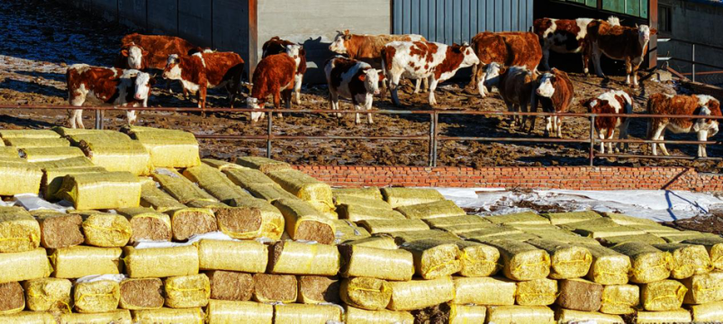 1771035948549989.png 圖片21.png