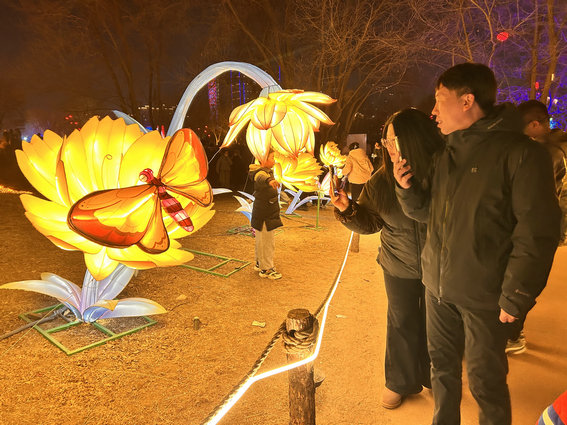 1772586962130171.jpg 小草2.jpg