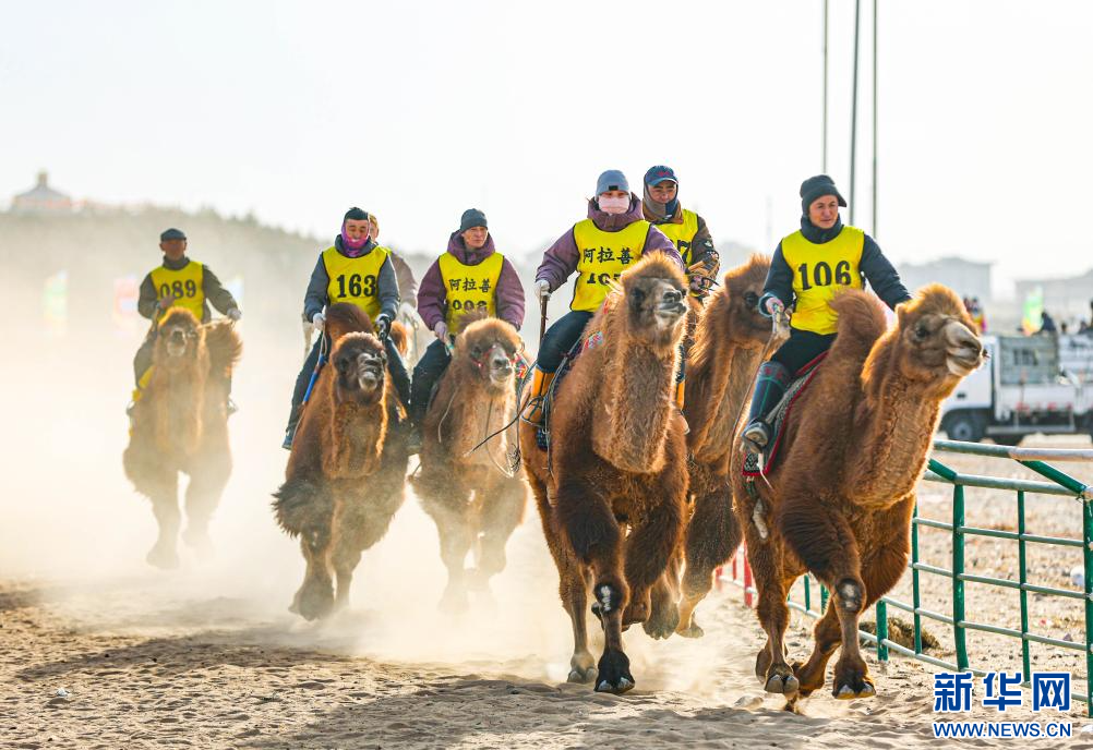 3月7日，賽駝手在6000米成年駱駝場(chǎng)地速度賽比賽中。.jpg
