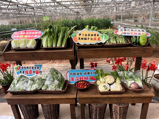 1773210524527010.png 圖片3.png