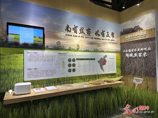 【高質(zhì)量發(fā)展看中國(guó)】5G智慧農(nóng)業(yè) 種出高質(zhì)量好味“稻”