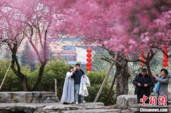 2月23日，市民在乾藝梅園景區(qū)觀賞綻放的梅花。瞿宏倫 攝