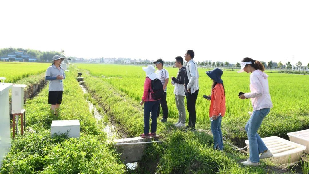 △云南大理古生村科技小院成員在田間調(diào)查。
