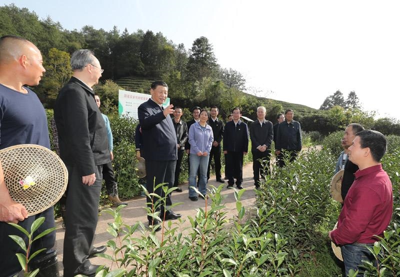 2021年3月22日，習(xí)近平總書記在福建南平武夷山市星村鎮(zhèn)燕子窠生態(tài)茶園，同科技特派員、茶農(nóng)親切交流，了解當(dāng)?shù)夭璁a(chǎn)業(yè)發(fā)展情況。