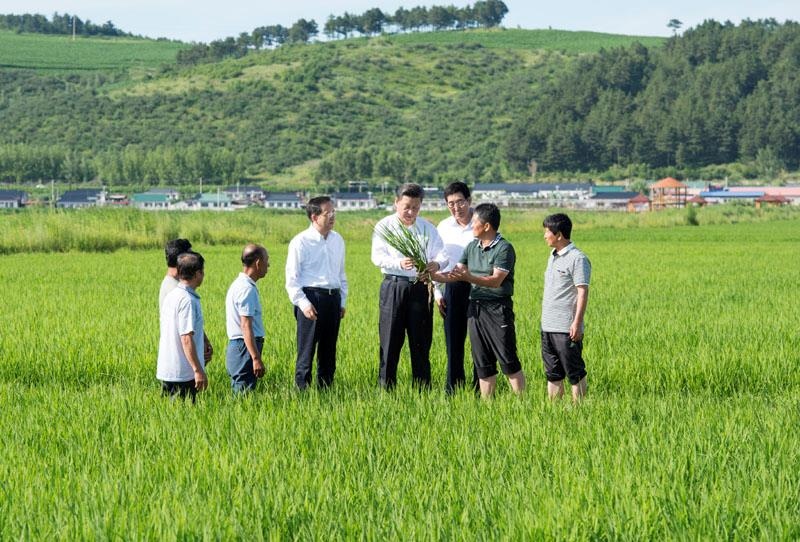 2015年7月16日，習(xí)近平總書記在吉林延邊州光東村稻田同村民和農(nóng)技人員交流。