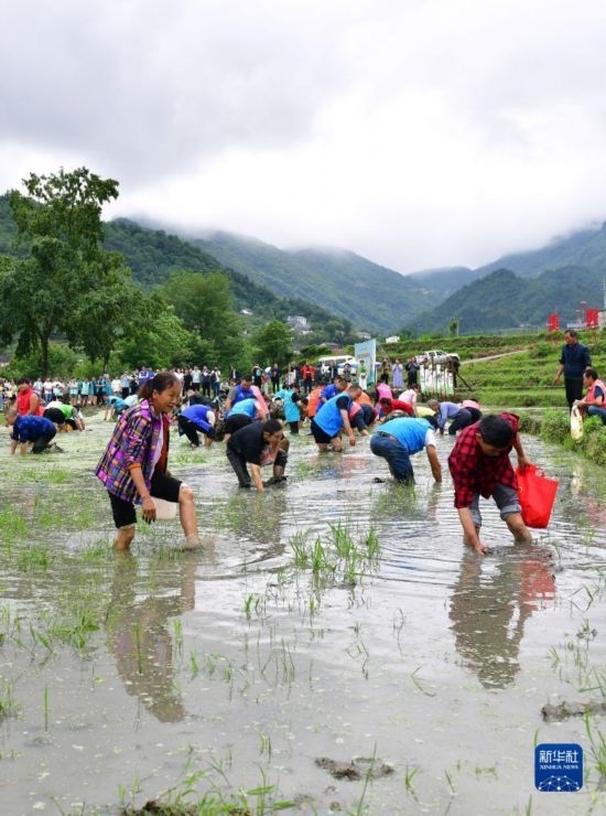 5月27日，秭歸縣九畹溪鎮(zhèn)農(nóng)民參加摸魚比賽。