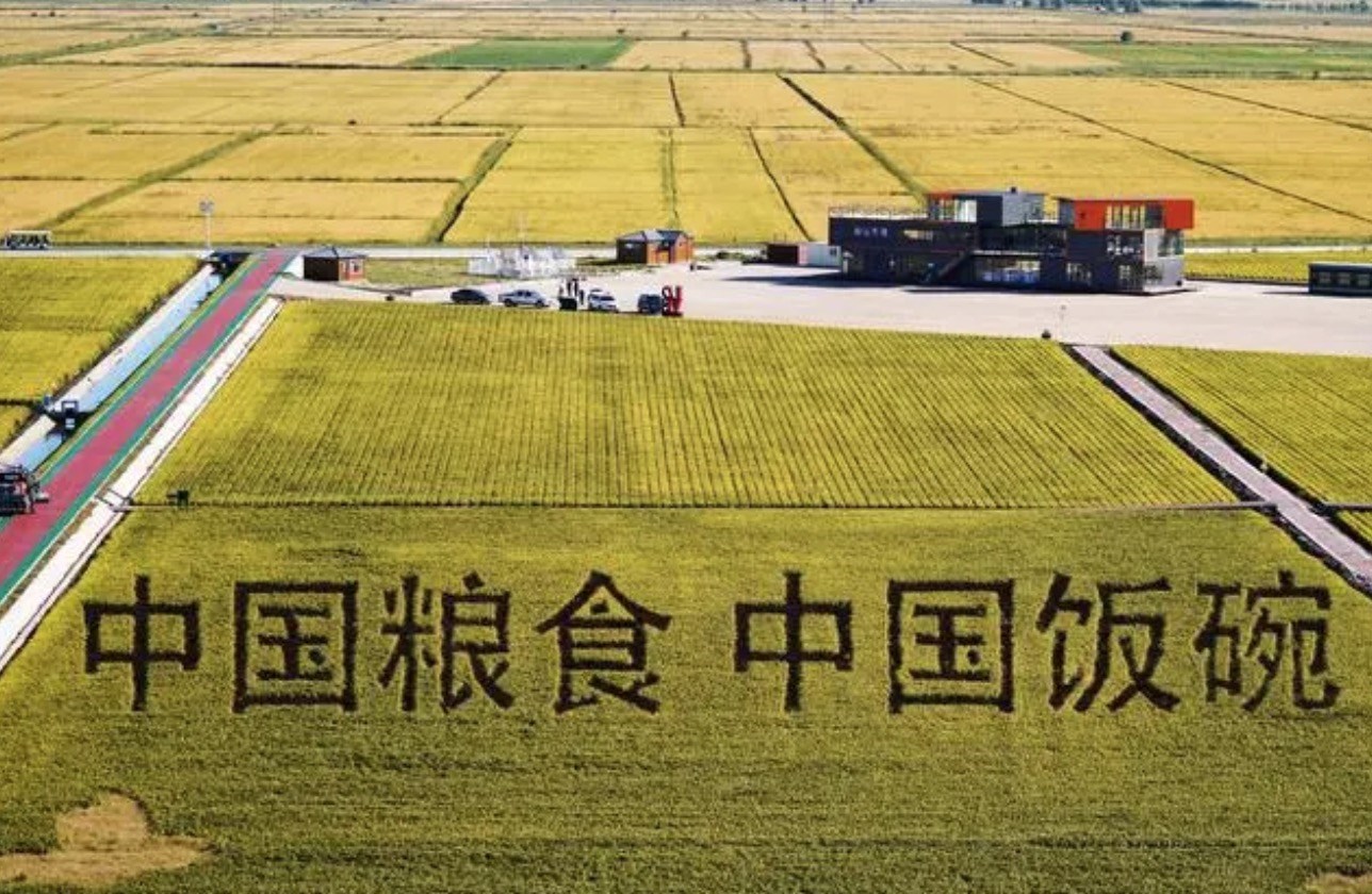 2022年9月2日，黑龍江省富錦市萬(wàn)畝水稻科技示范園內(nèi)的稻田畫(huà)。