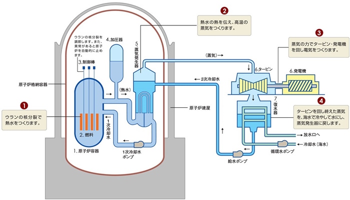 核電站運(yùn)作原理圖。通常的核電站排水未直接接觸核燃料。（圖片來源：日本北海道電力株式會(huì)社網(wǎng)站）