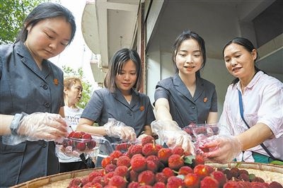 志愿者和村民一起將摘下的楊梅裝進(jìn)食品盒里。