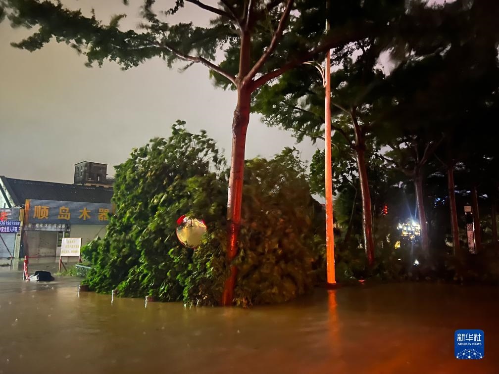 7月17日晚，在廣東湛江海濱大道北，路邊的樹(shù)木被風(fēng)刮倒（手機(jī)照片）。新華社記者 鄧華 攝
