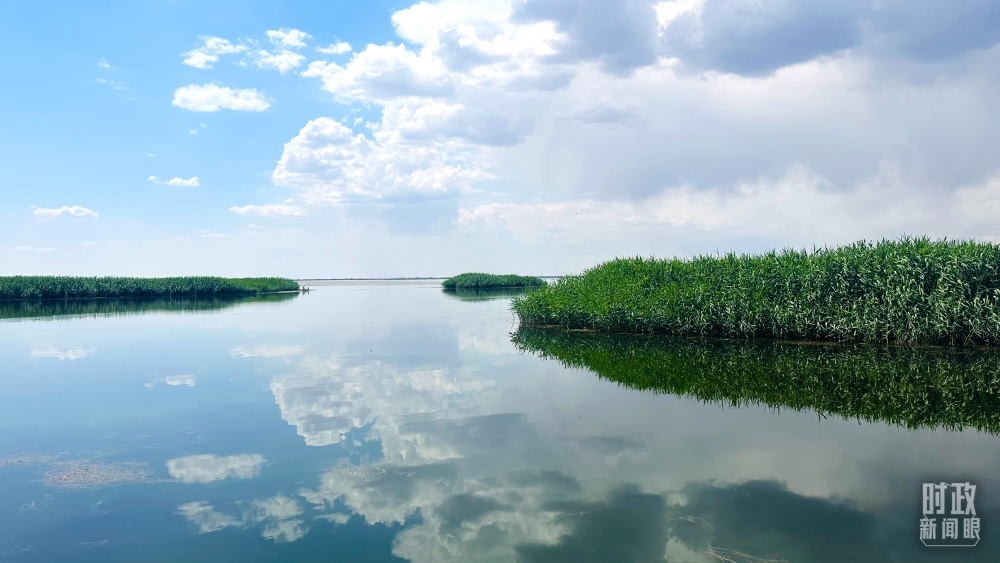 內(nèi)蒙古烏梁素海，是黃河流域最大的湖泊濕地。（總臺央視記者范一鳴拍攝）