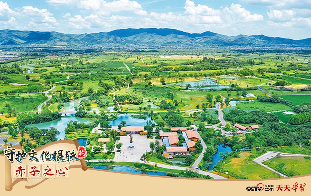 圖為2021年7月拍攝的良渚古城遺址公園。