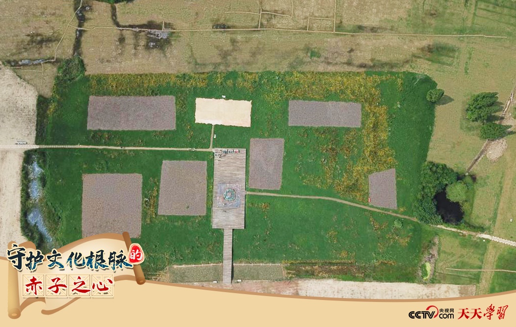 2019年6月23日無人機(jī)拍攝的良渚國家考古遺址公園的宮殿區(qū)。
