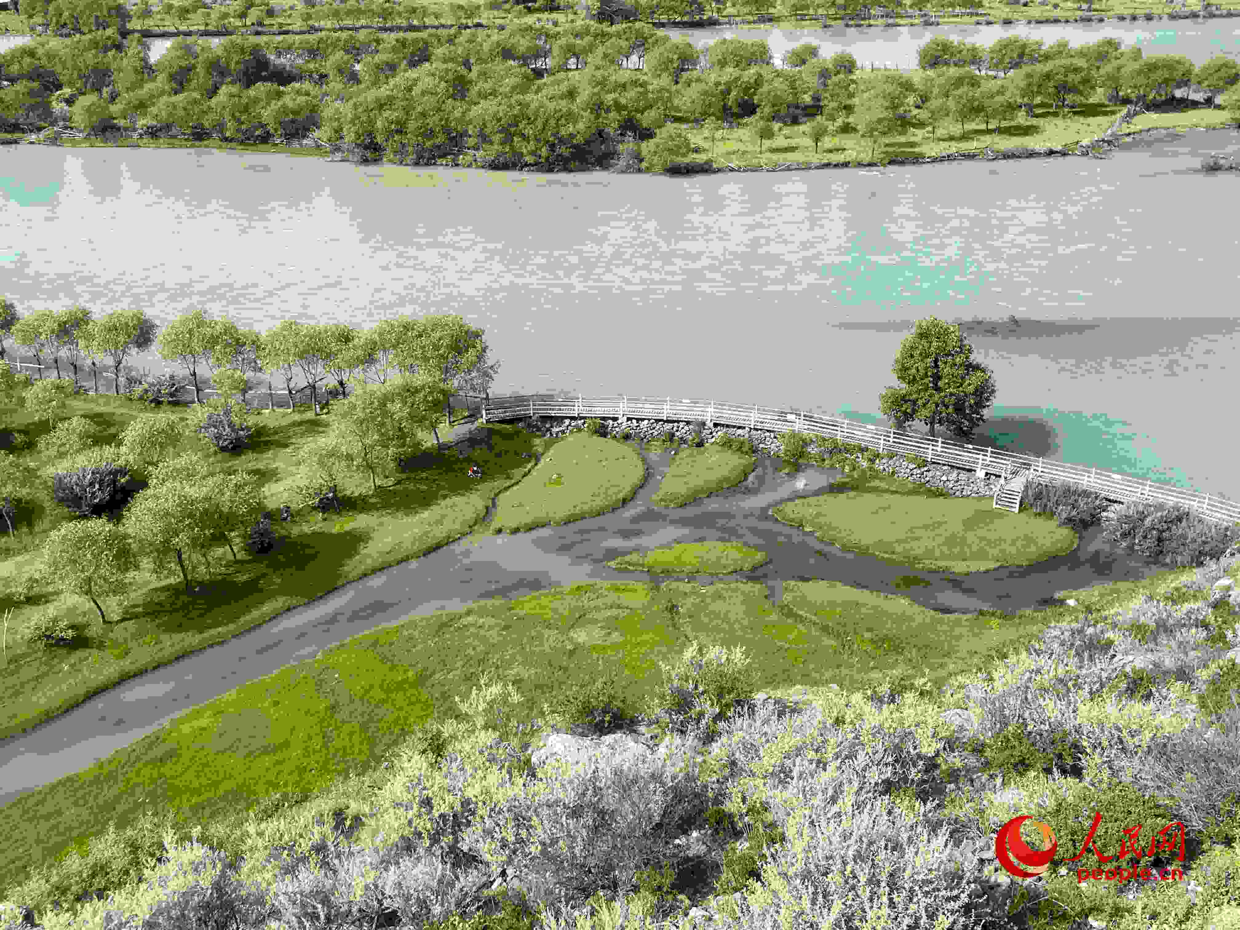 夏日的雅尼國(guó)家濕地公園生機(jī)盎然，如詩(shī)如畫。人民網(wǎng) 周靜圓攝