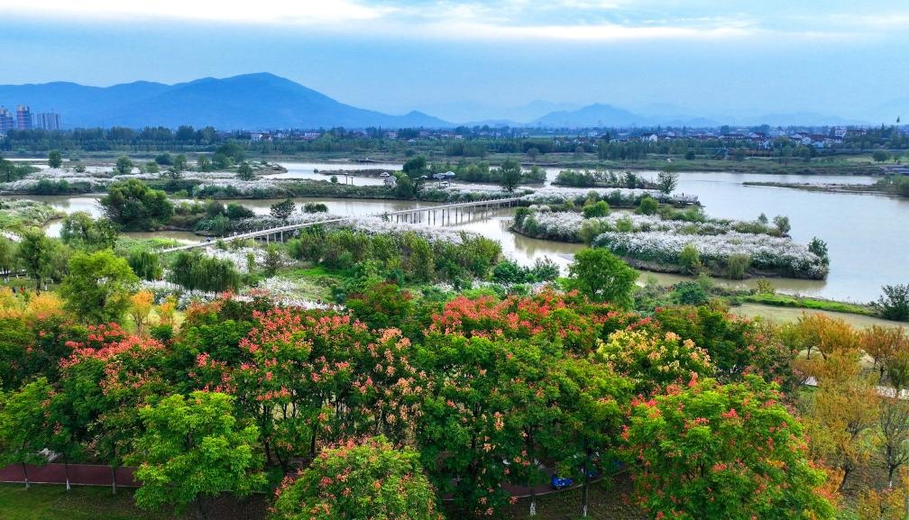 2022年10月11日拍攝的天漢濕地公園景色。新華社發(fā)（宋曉麗 攝）