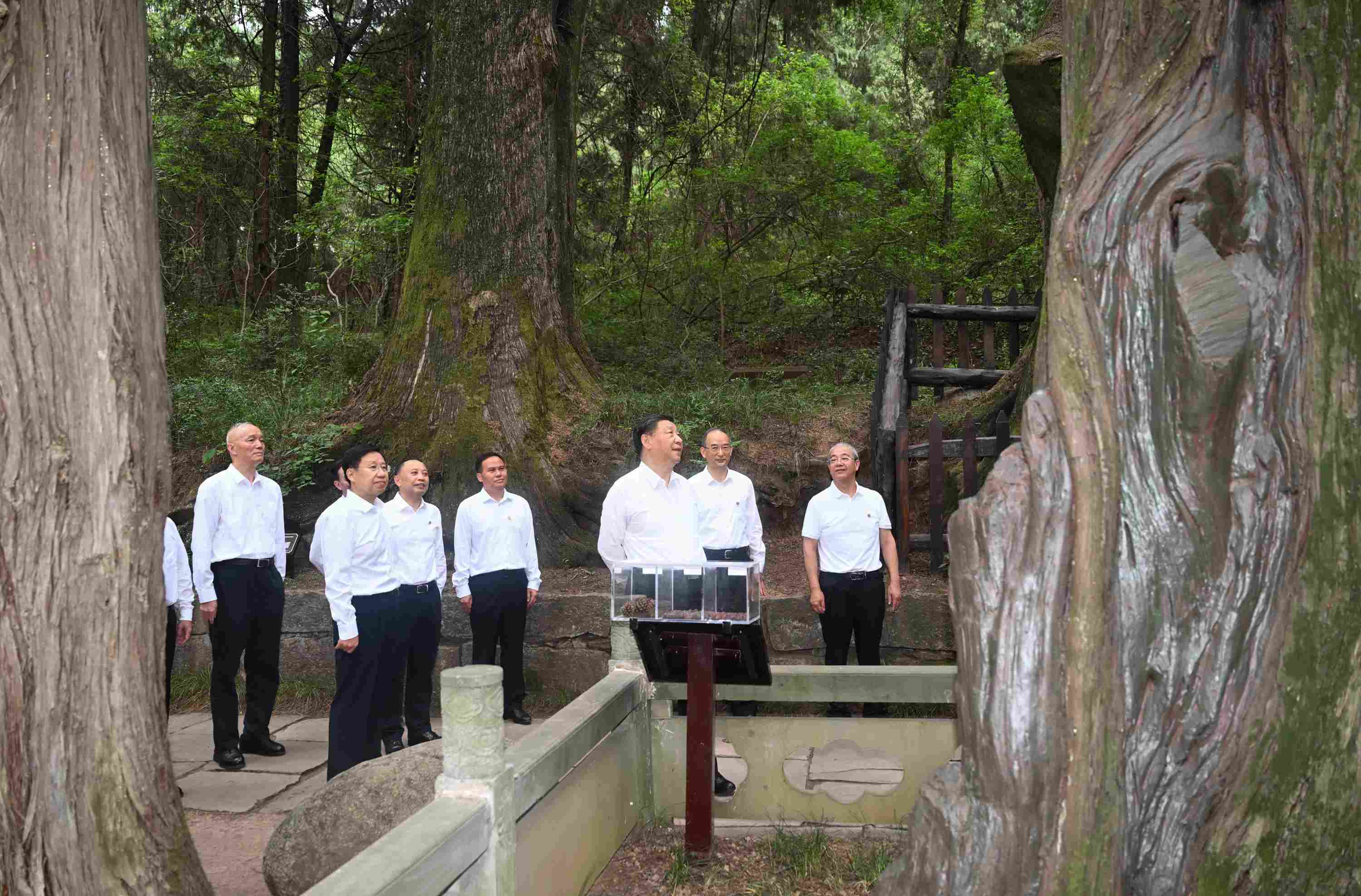 △2023年7月25日，習(xí)近平總書記在四川省廣元市考察了翠云廊古蜀道，了解當(dāng)?shù)赝七M(jìn)歷史文化傳承、加強(qiáng)生態(tài)文明建設(shè)等情況。