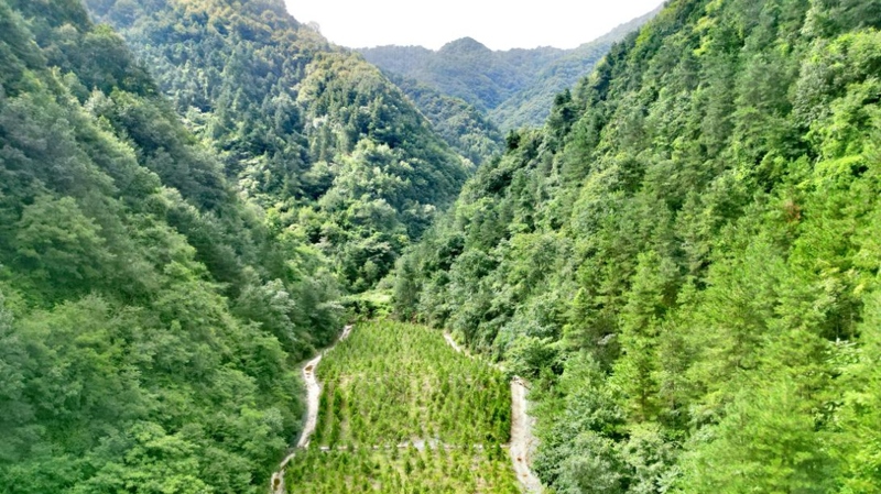 建設(shè)中的西氣東輸三線中段。受訪者供圖