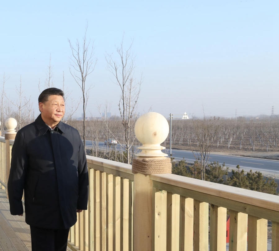 2019年1月16日，習(xí)近平在河北雄安新區(qū)考察調(diào)研。在“千年秀林”大清河片林一區(qū)造林區(qū)域，習(xí)近平登上秀林驛站二層平臺遠(yuǎn)眺林區(qū)全貌。