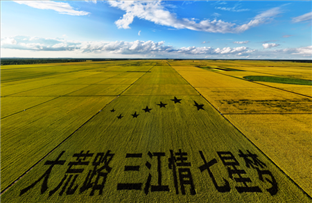 △北大荒集團(tuán)建三江分公司千萬畝良田