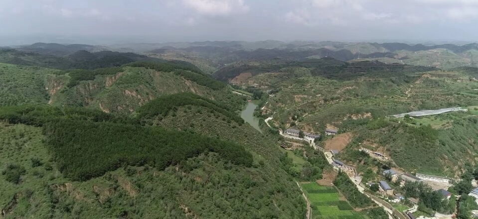 黃土溝壑中的高西溝村滿眼綠色（無(wú)人機(jī)照片，2023年7月26日）。新華社記者陳昌奇 攝