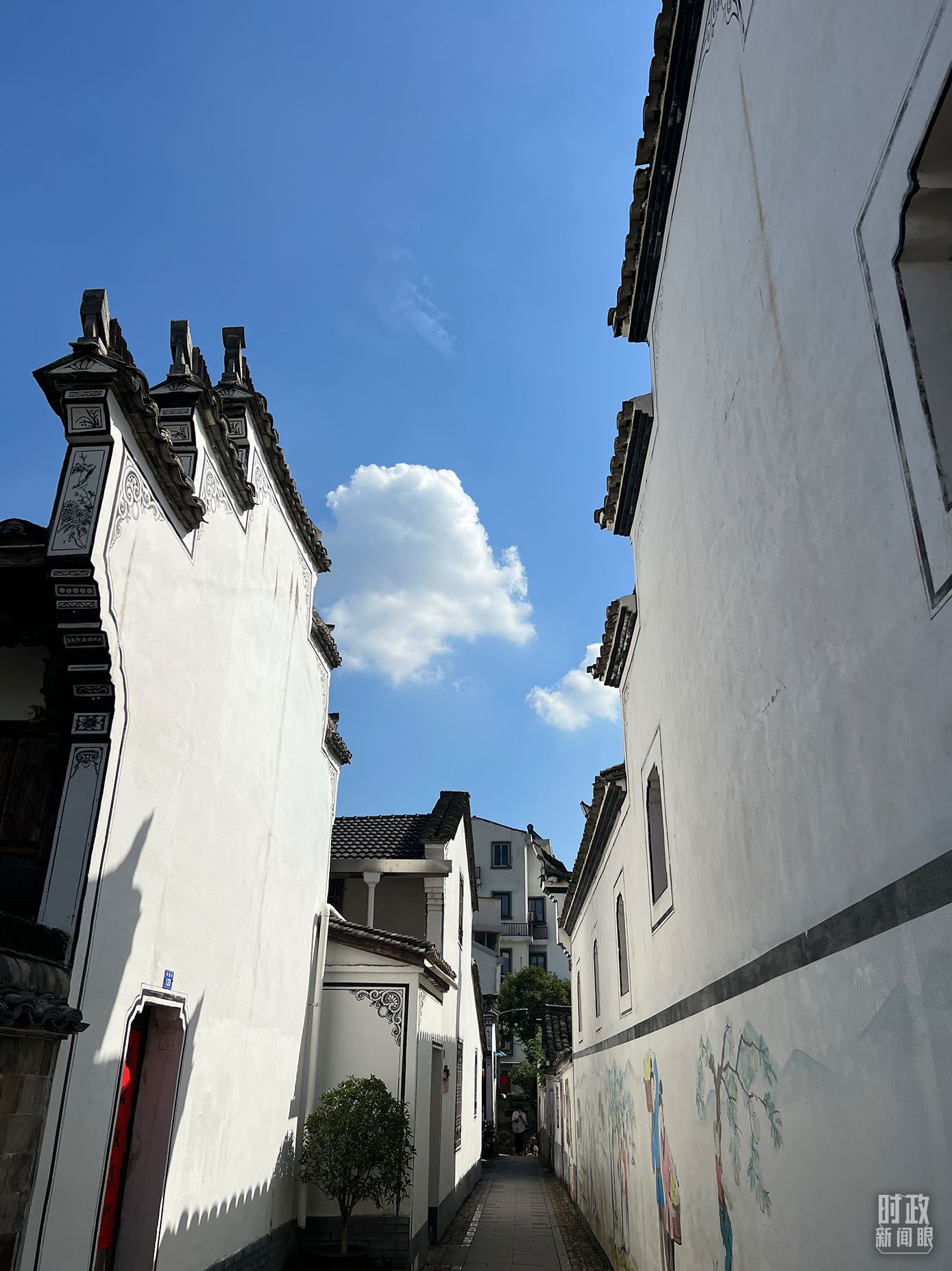 △浙江省金華市義烏市后宅街道李祖村。（總臺(tái)央視記者李煒拍攝）