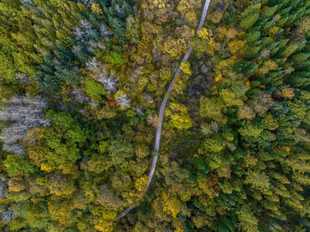 綠意盎然的長白山地區(qū)。王哲攝