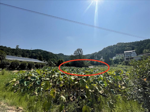 曾經(jīng)的圣水園所在地。 人民網(wǎng)記者 楊喬攝