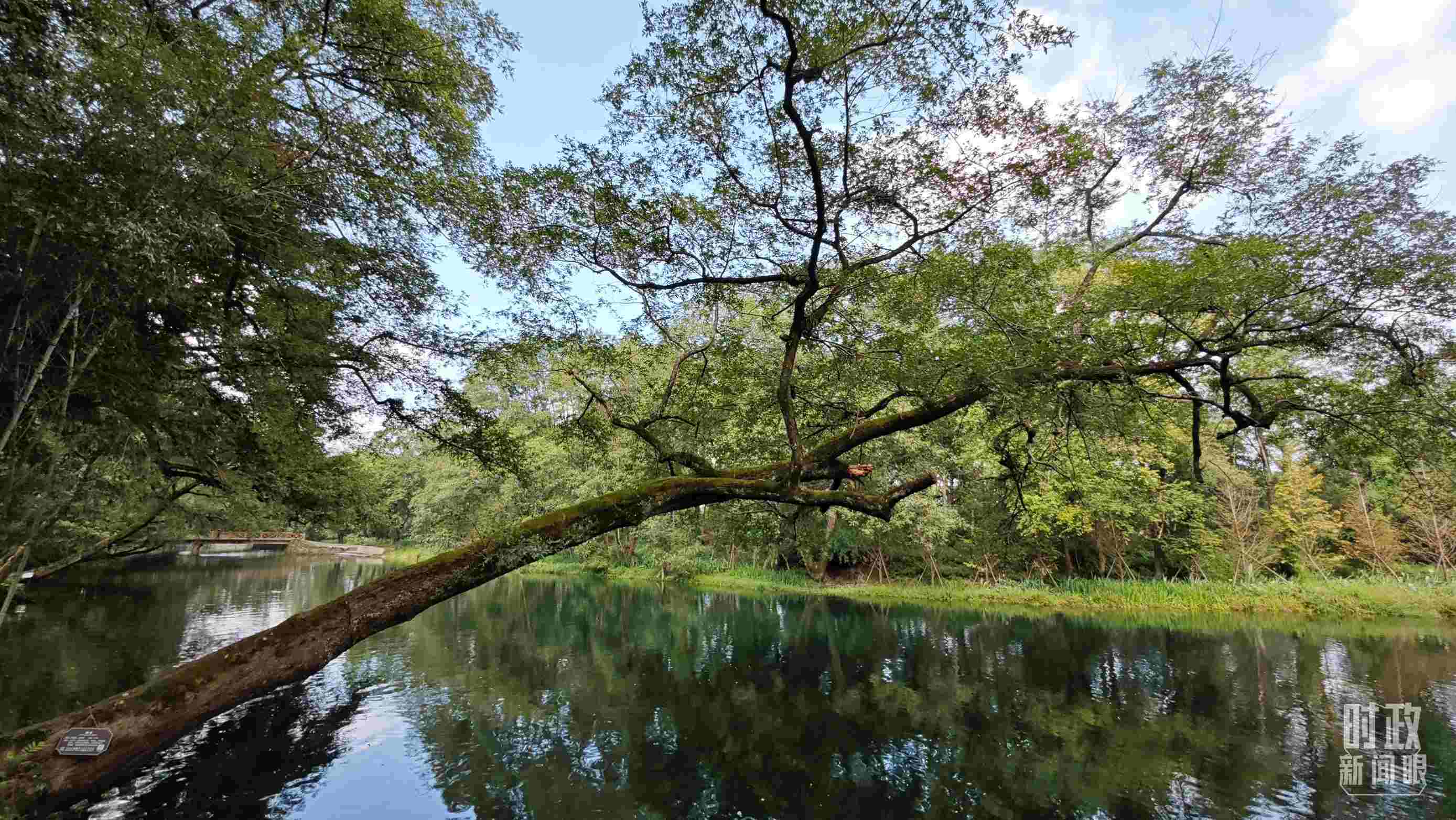 △饒河源國(guó)家濕地公園。（總臺(tái)央視記者郁振一拍攝）