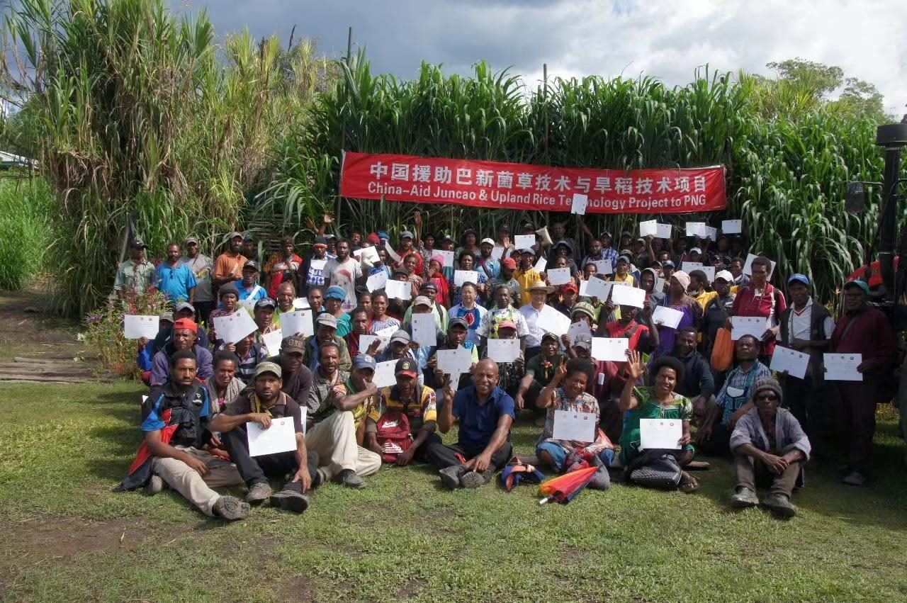 △2020年12月17日，在巴布亞新幾內(nèi)亞東高地省，參加中國援助巴新菌草和旱稻技術(shù)項目第9期培訓班的當?shù)孛癖娬故窘Y(jié)業(yè)證書。