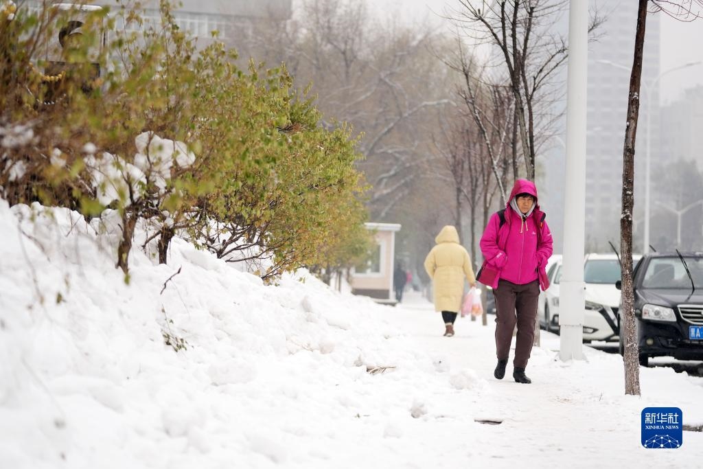 11月16日，市民在雪中前行。當(dāng)日，黑龍江哈爾濱市迎來雨雪天氣。新華社記者 王建威 攝