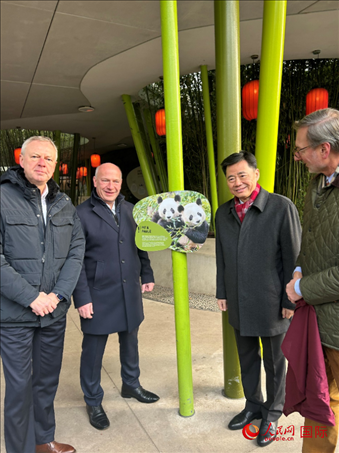 中國駐德國大使吳懇（右二）、柏林市長韋格納（左二）、動物園園長克尼里姆（右一）和監(jiān)事會主席布魯克曼（左一）共同為“夢想”“夢圓”大熊貓紀念牌揭幕。人民網(wǎng)記者 徐馨攝