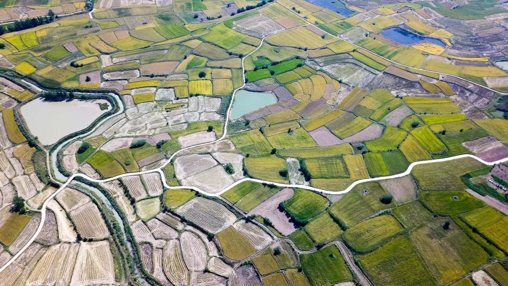 安徽省鳳陽(yáng)縣小崗村的田野景象（2018年9月27日攝，無(wú)人機(jī)照片）。新華社記者 張端 攝