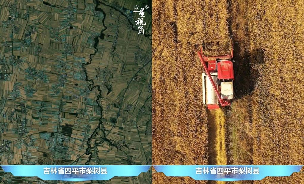 隨著現(xiàn)代化農(nóng)機普及應(yīng)用，保護性耕作“梨樹模式”得以大面積推廣，不僅使黑土地保護與利用持續(xù)深入，更為糧食作物高產(chǎn)穩(wěn)產(chǎn)助力。