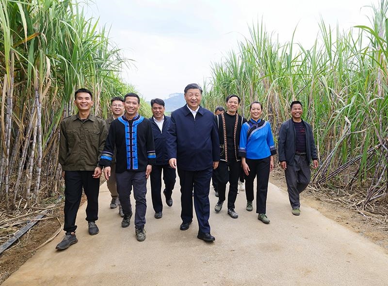 2023年12月14日，習(xí)近平總書記在廣西來賓市國家現(xiàn)代農(nóng)業(yè)產(chǎn)業(yè)園黃安優(yōu)質(zhì)“雙高”糖料蔗基地考察。