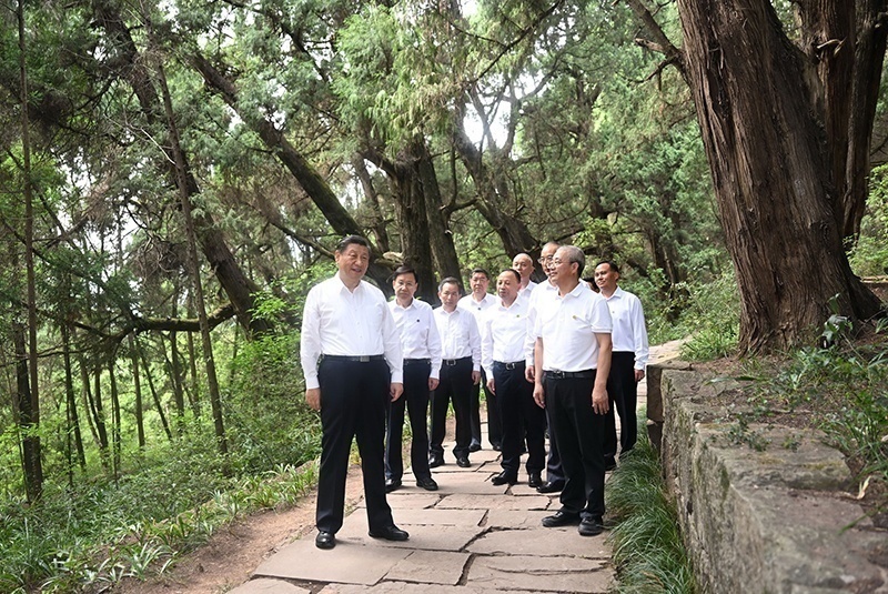 2023年7月25日，習(xí)近平總書(shū)記在四川廣元市劍閣縣翠云廊考察。新華社記者 謝環(huán)馳 攝